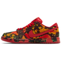 SB DUNK LOW "Wizard of OZ"